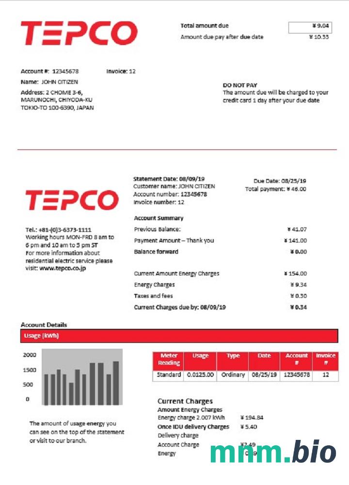 Japan Tokyo Electric Power Firma szablon rachunku za energię elektryczną w formacie Word i PDF
